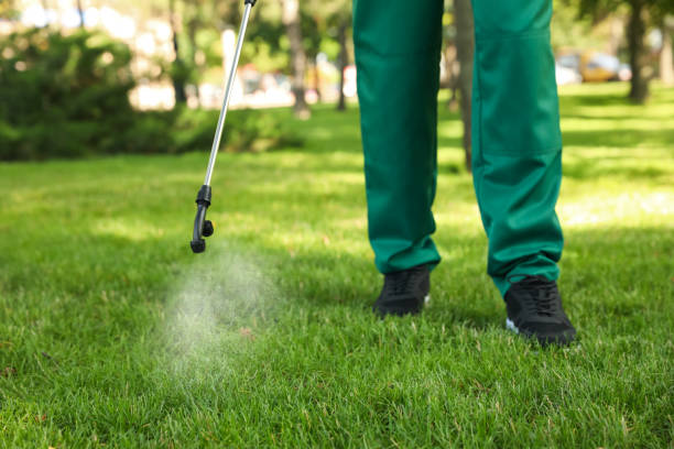 Best Pest Control Treatment  in Harbor Springs, MI