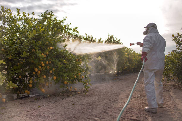 Harbor Springs, MI Pest Control Company