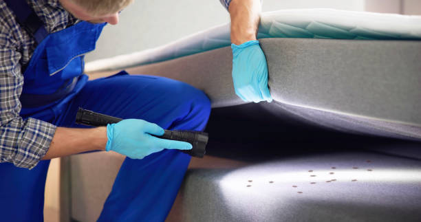 Best Flea Control Services  in Harbor Springs, MI