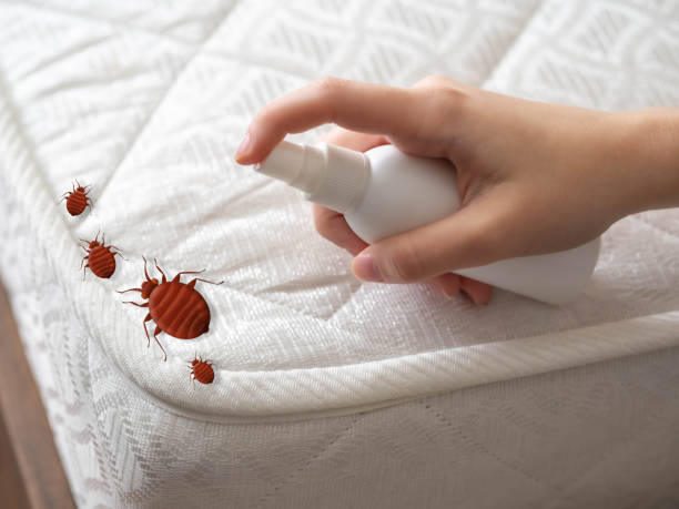 Best Pest Control Near Me in Harbor Springs, MI