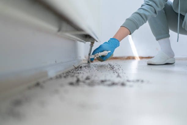 Pest Prevention Services in Harbor Springs, MI